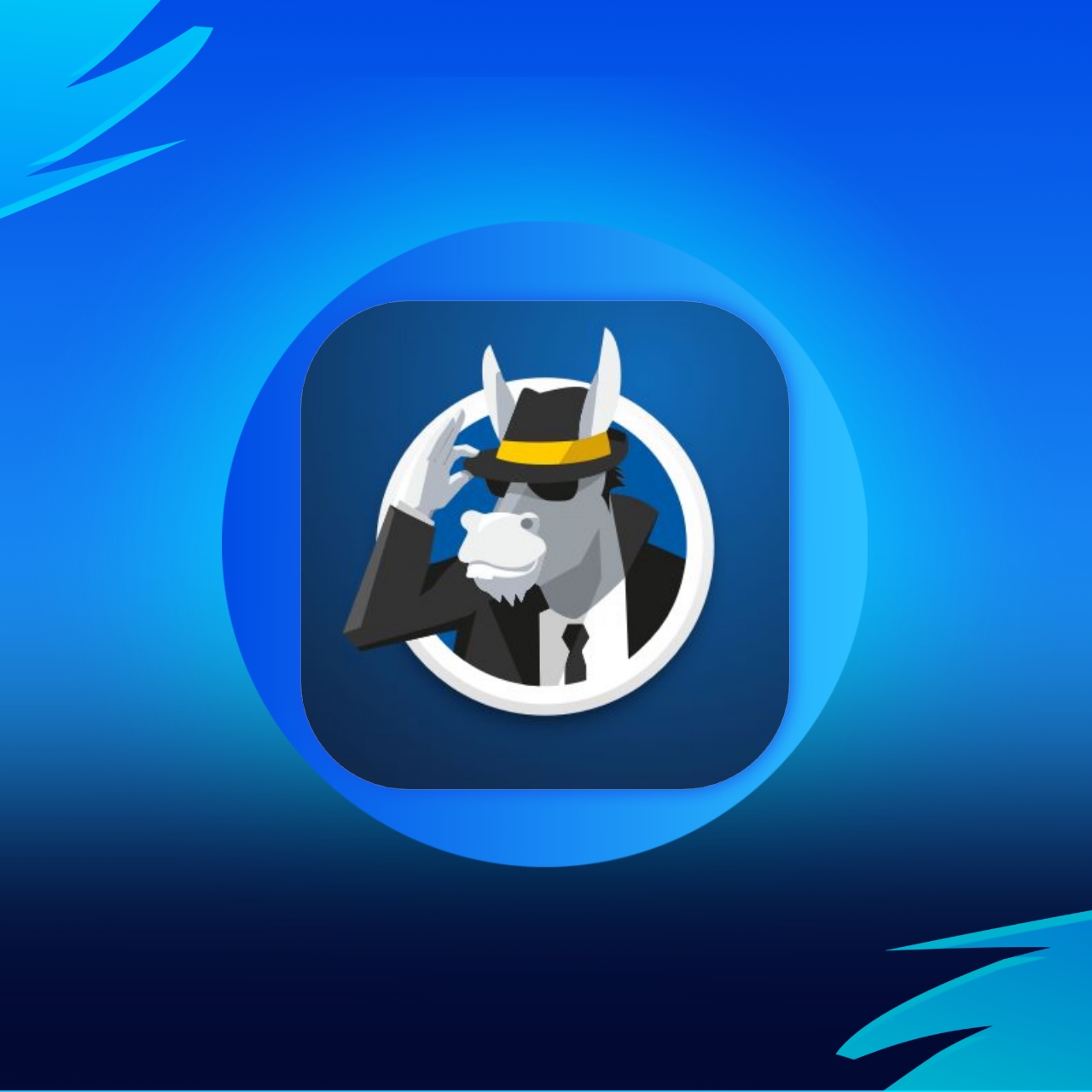 HMA VPN